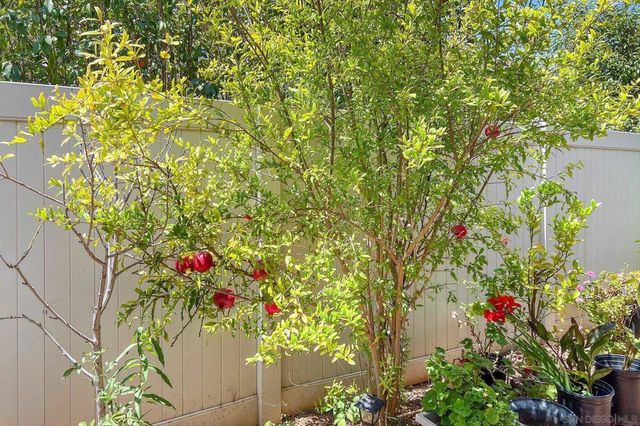 1675 Felicita, Escondido, CA 92025