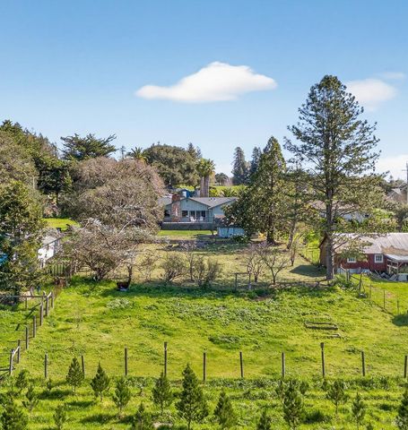 445 Marshall Ave, Petaluma, CA 94952