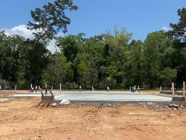 20843 Wildbird Cherry Street, Porter, TX 77365