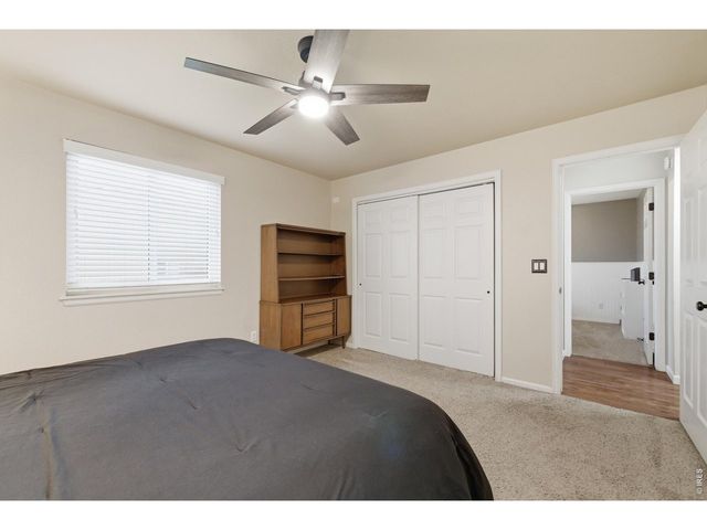216 Chestnut St, Windsor, CO 80550