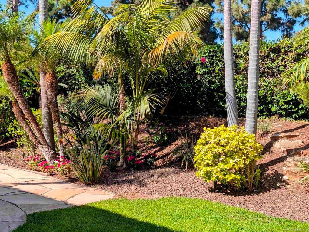 7049 Surfbird Circle, Carlsbad, CA 92011 — photo 5