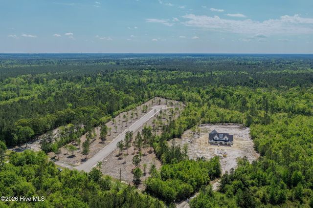 243 Essie Mae Lane, Leland, NC 28451