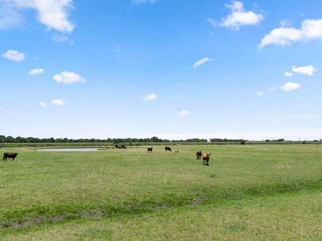 10630 Brinkmeyer Road, Needville, TX 77461