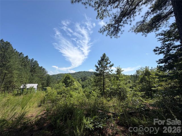 590 Gold Creek Point, Union Mills, NC 28167