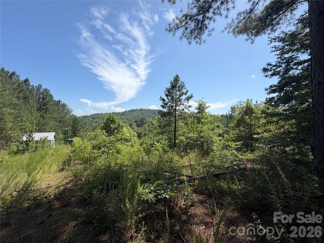 590 Gold Creek Point, Union Mills, NC 28167