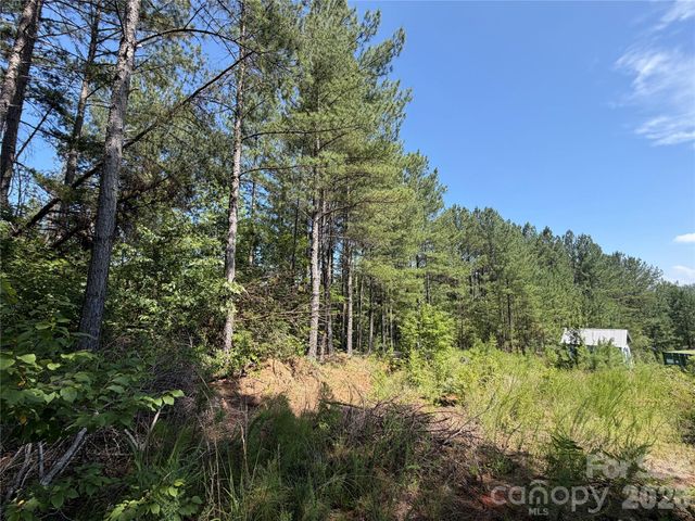 590 Gold Creek Point, Union Mills, NC 28167
