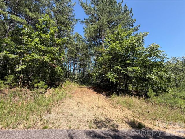 590 Gold Creek Point, Union Mills, NC 28167