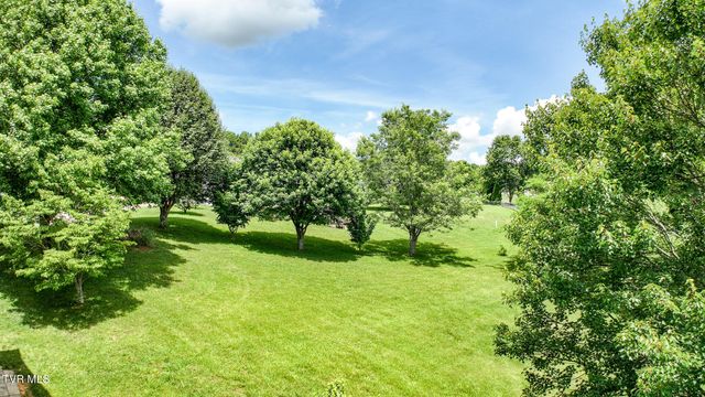 220 Colricia Drive, Greeneville, TN 37745