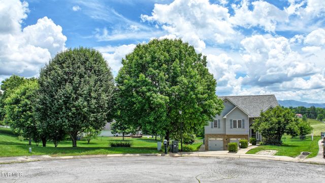 220 Colricia Drive, Greeneville, TN 37745