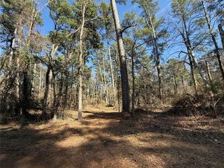 Lot 2 Private Road 8573, Winnsboro, TX 75494