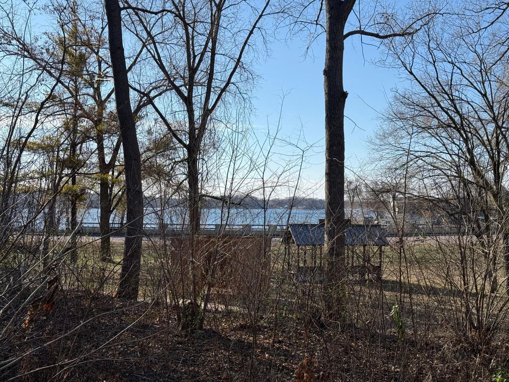 xxx Bass St., Prior Lake, MN 55372 — photo 2