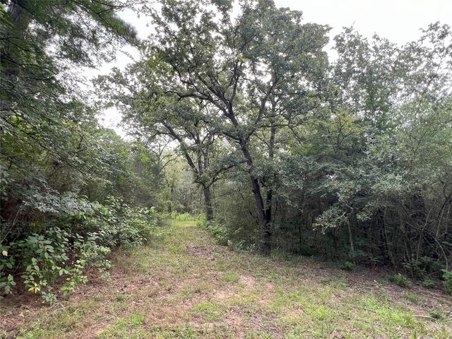 0014 Evergreen Lot 4 Fm 362 Road, Waller, TX 77484