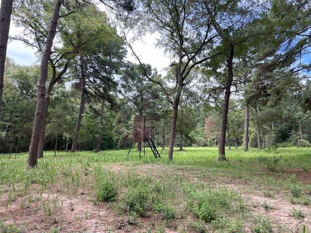 0014 Evergreen Lot 4 Fm 362 Road, Waller, TX 77484