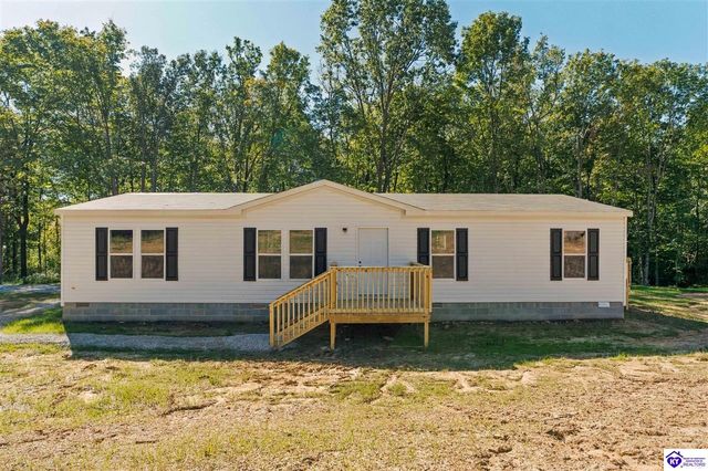 4451 Berrytown Road, Rineyville, KY 40162
