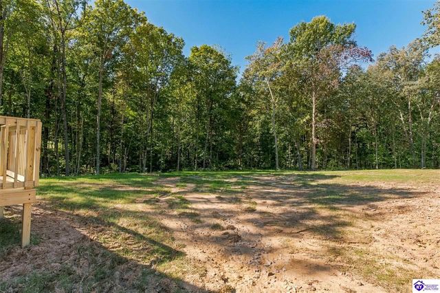 4451 Berrytown Road, Rineyville, KY 40162