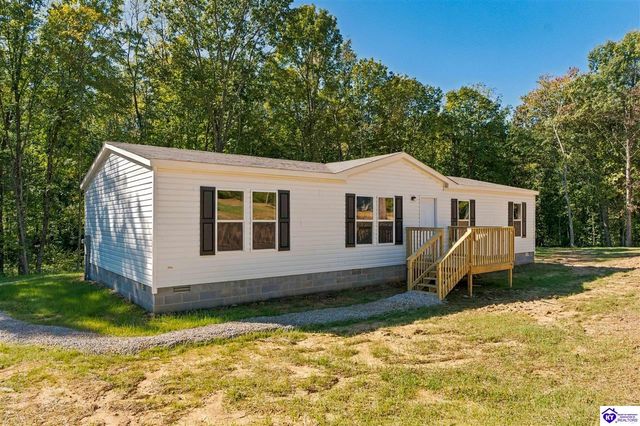 4451 Berrytown Road, Rineyville, KY 40162
