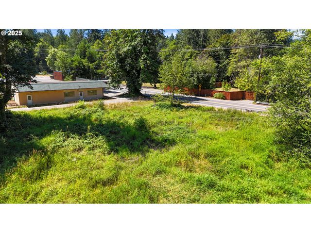 0 NE 221ST AVE, Amboy, WA 98601