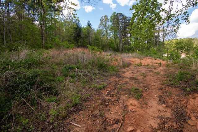 00 W Vineyard Road, Hayesville, NC 28904