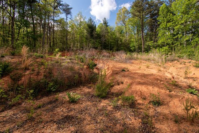 00 W Vineyard Road, Hayesville, NC 28904