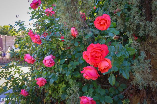 3816 E MINTON Place, Mesa, AZ 85215