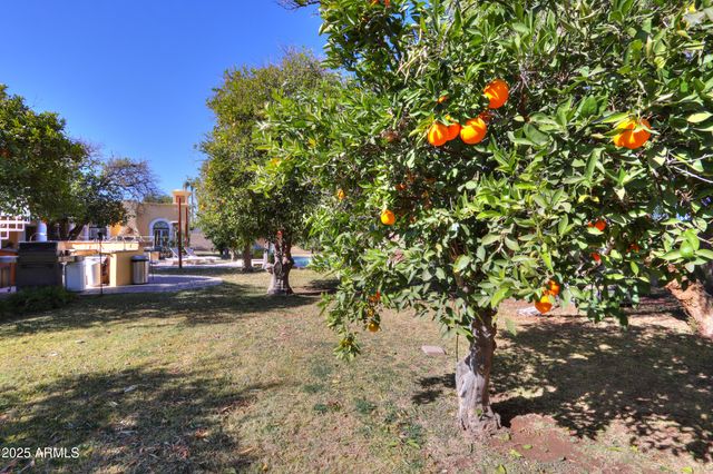 3816 E MINTON Place, Mesa, AZ 85215