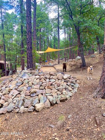 3718 S Loba Drive, Prescott, AZ 86303