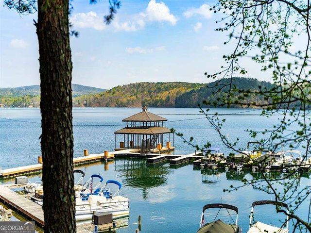 150 Ft Gibson Court, Waleska, GA 30183