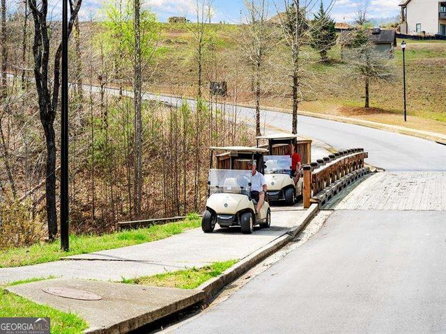 150 Ft Gibson Court, Waleska, GA 30183