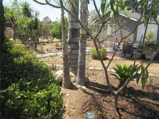 16592 Valencia, Fontana, CA 92335