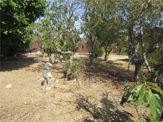 16592 Valencia, Fontana, CA 92335