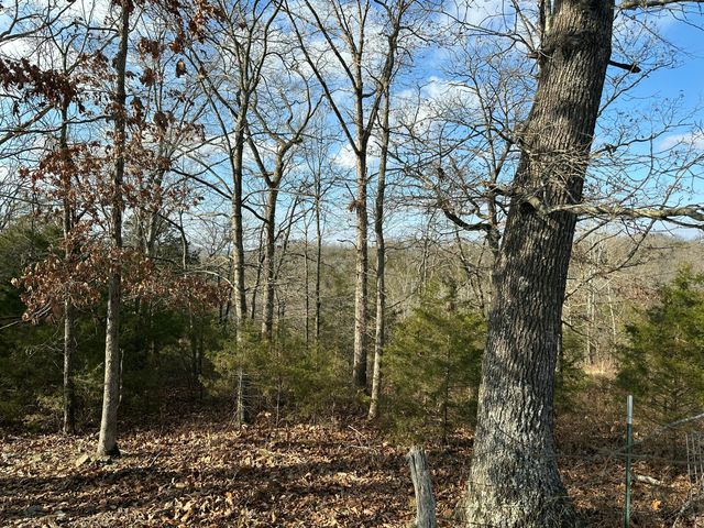 7565 State Highway 176, Walnut Shade, MO 65771