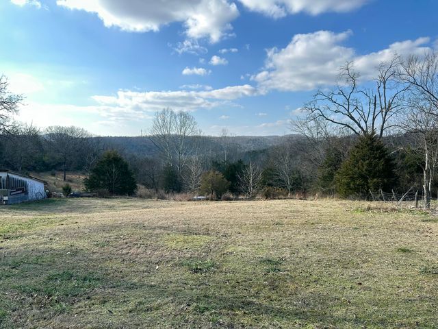 7565 State Highway 176, Walnut Shade, MO 65771