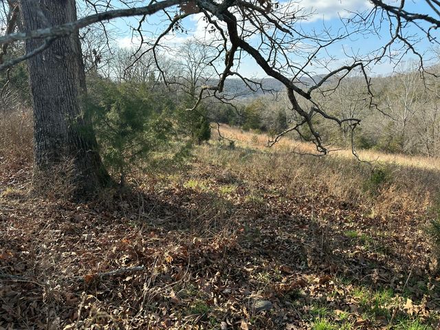 7565 State Highway 176, Walnut Shade, MO 65771