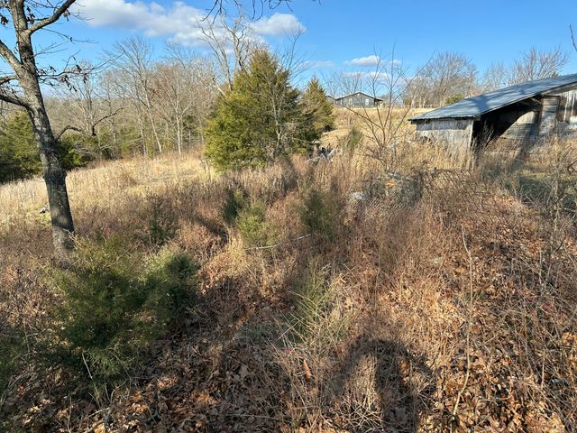 7565 State Highway 176, Walnut Shade, MO 65771