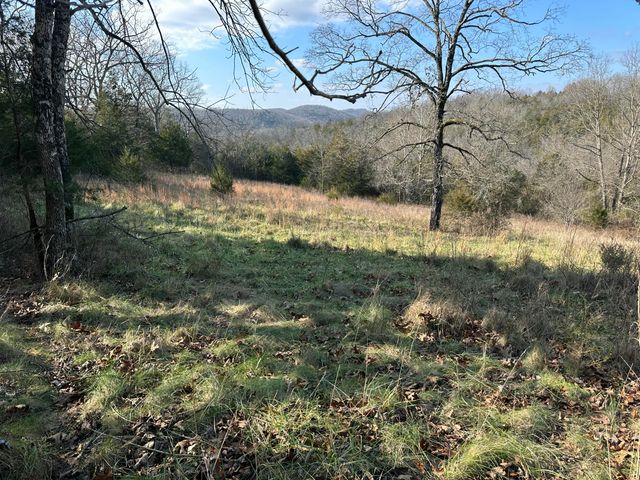 7565 State Highway 176, Walnut Shade, MO 65771