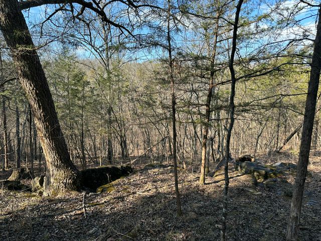 7565 State Highway 176, Walnut Shade, MO 65771