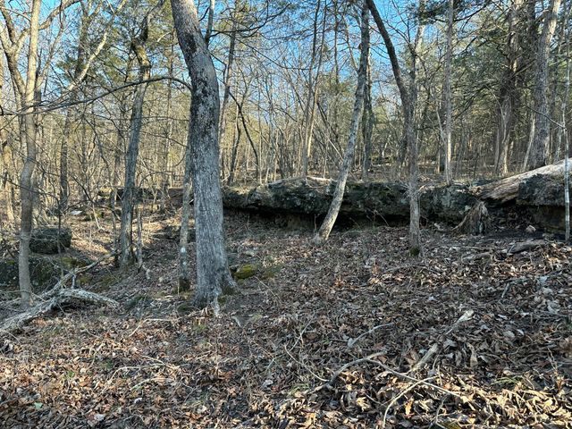 7565 State Highway 176, Walnut Shade, MO 65771