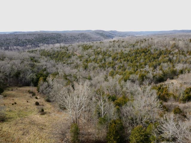 7565 State Highway 176, Walnut Shade, MO 65771