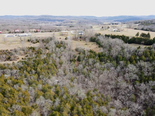 7565 State Highway 176, Walnut Shade, MO 65771