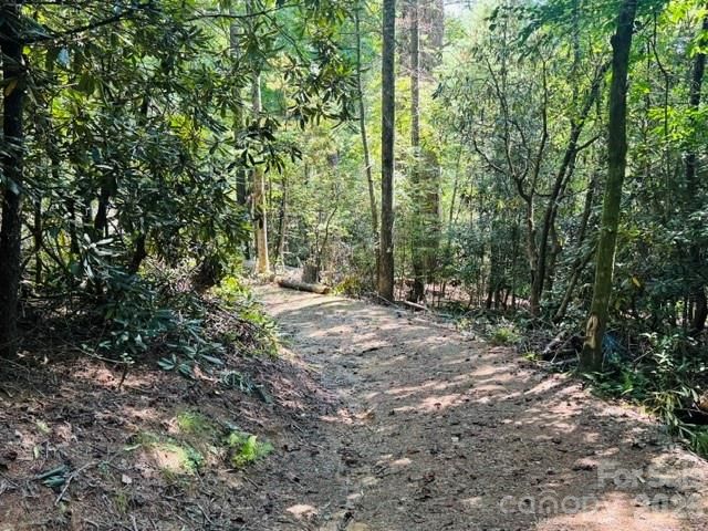 475 Old Little Mountain Road, Pisgah Forest, NC 28768