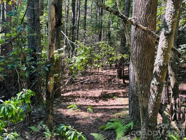 475 Old Little Mountain Road, Pisgah Forest, NC 28768