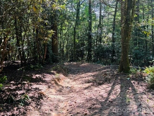 475 Old Little Mountain Road, Pisgah Forest, NC 28768