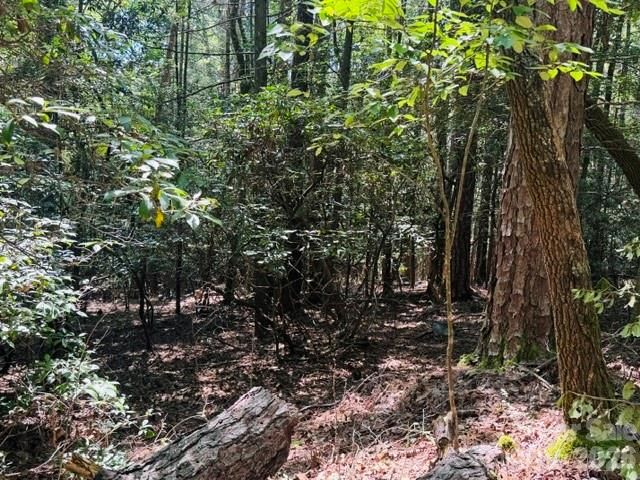 475 Old Little Mountain Road, Pisgah Forest, NC 28768