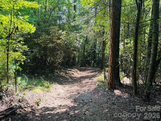 475 Old Little Mountain Road, Pisgah Forest, NC 28768