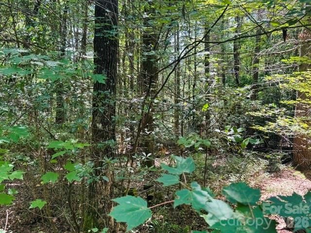 475 Old Little Mountain Road, Pisgah Forest, NC 28768