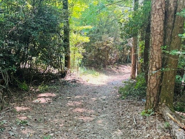 475 Old Little Mountain Road, Pisgah Forest, NC 28768