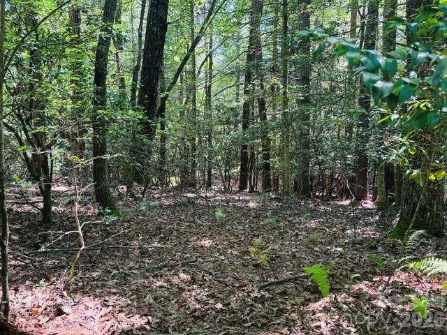475 Old Little Mountain Road, Pisgah Forest, NC 28768