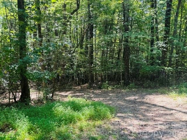 475 Old Little Mountain Road, Pisgah Forest, NC 28768