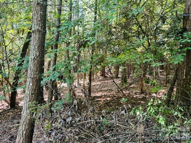 475 Old Little Mountain Road, Pisgah Forest, NC 28768