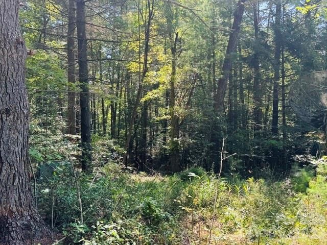 475 Old Little Mountain Road, Pisgah Forest, NC 28768
